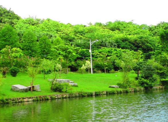 人工植被的應用有什么樣的效果和作用呢？