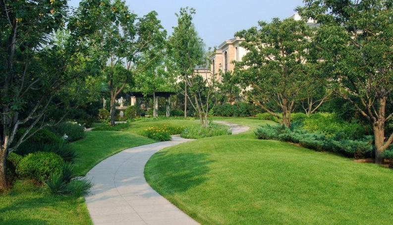 湖北園林工程中園林中攀援植物的種植設計　