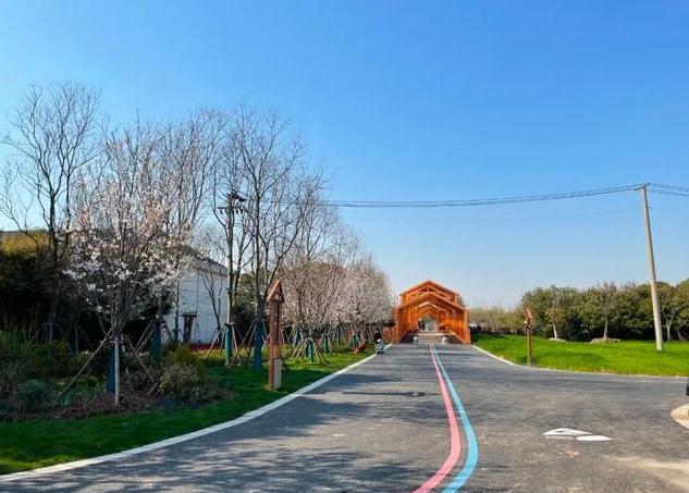 上海浦東今年建成40公里綠道 串聯各類生態空間