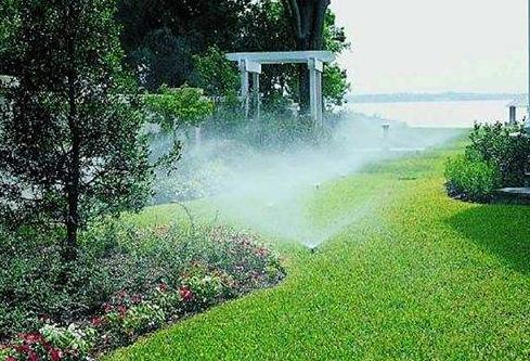 1月份園林養(yǎng)護(hù)，加強(qiáng)防凍與越冬害蟲防控是重點(diǎn) 