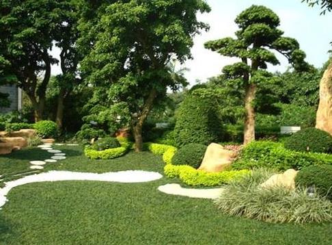 技術(shù)|開春園林綠化養(yǎng)護(hù)重點(diǎn)工作