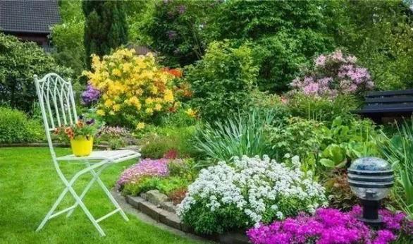 這幾招，搞定庭院植物搭配