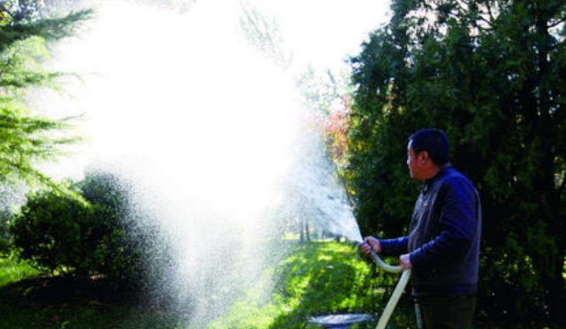 春季氣溫開(kāi)始回升，湖北凱蒂園林提醒：做好這些養(yǎng)護(hù)舉措，苗木來(lái)年存活好，長(zhǎng)枝快