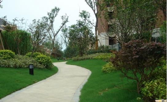 小區園林綠化施工需要遵循的五大原則有哪些？