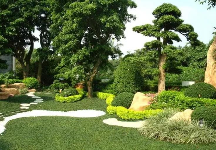 園林景觀設計之植物墻設計在哪些地方適合？