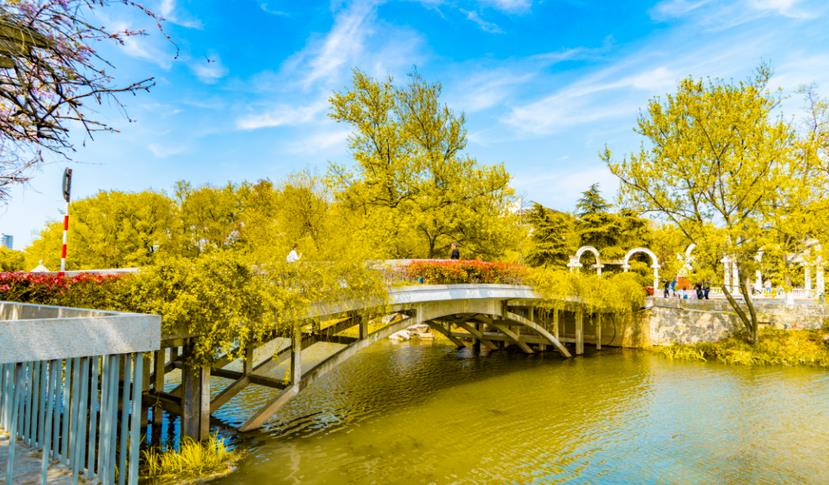 秋季關于園林綠化養護專業知識 ，你知道多少？