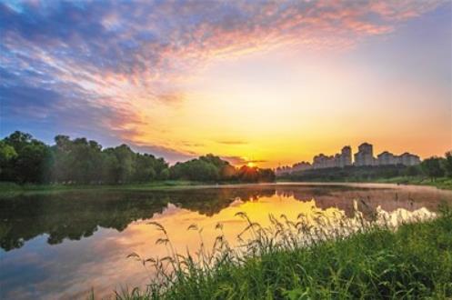 10月份園林綠化養(yǎng)護(hù)管理工作要點