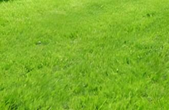 依其用途，草坪可分為幾類(lèi)呢？